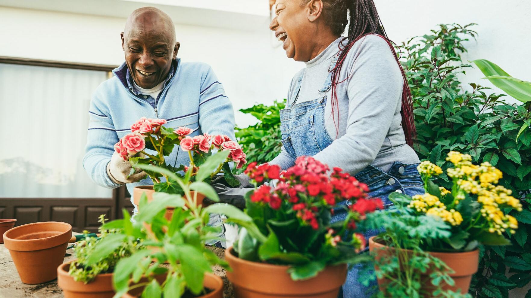 Louisiana Nursery Springs into Garden Season: A Vibrant Array of Garden Essentials